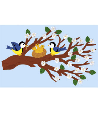 Fischer window pictures spring branch