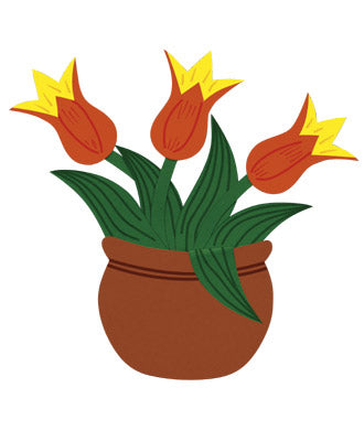 Imágenes de tulipanes de Fischer